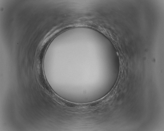 X0000080760295200612150941