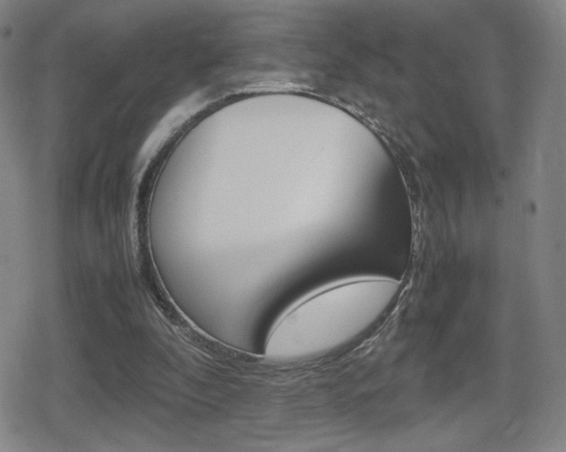 X0000080760296200612150941