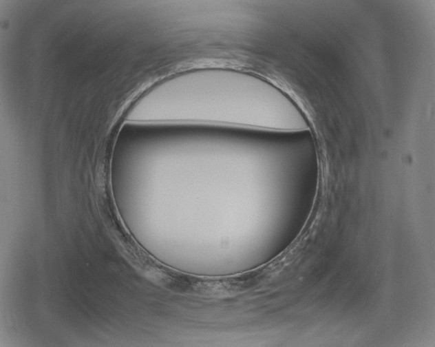 X0000080760297200612150941