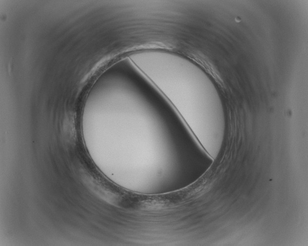 X0000080760300200612150941