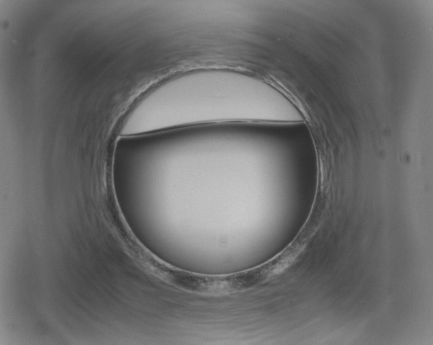 X0000080760301200612150941