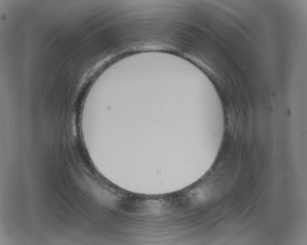 X0000080760302200612150941