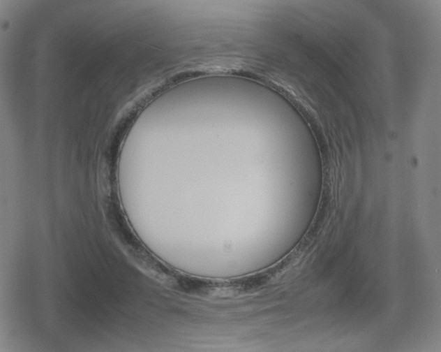 X0000080760303200612150941