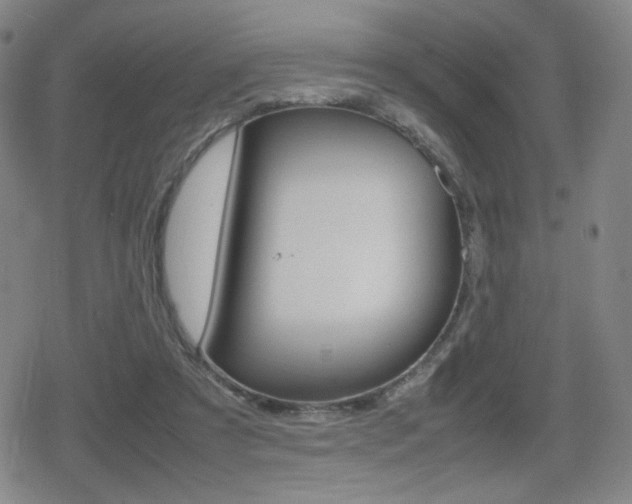 X0000080760305200612150940