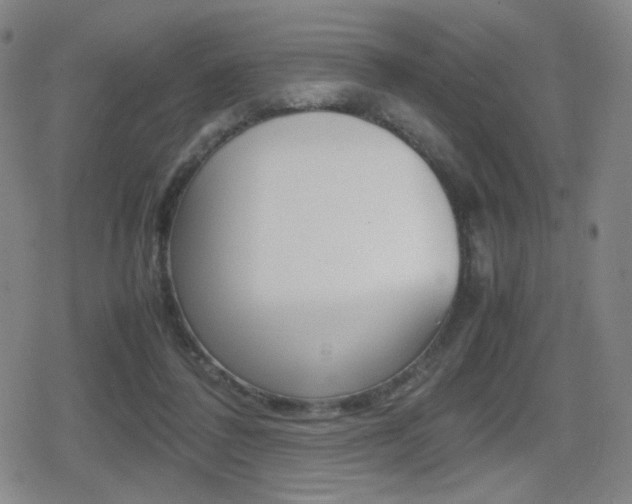 X0000080760308200612150940