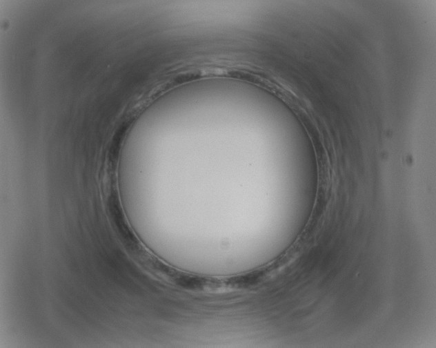 X0000080760311200612150940