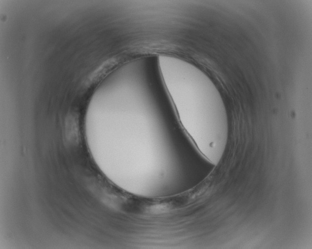 X0000080760312200612150940