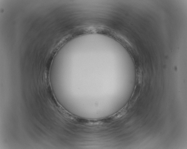 X0000080760314200612150940