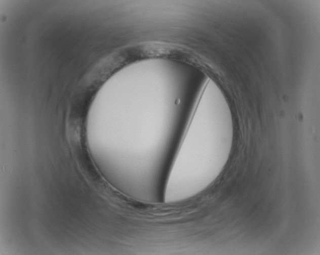 X0000080760315200612150940