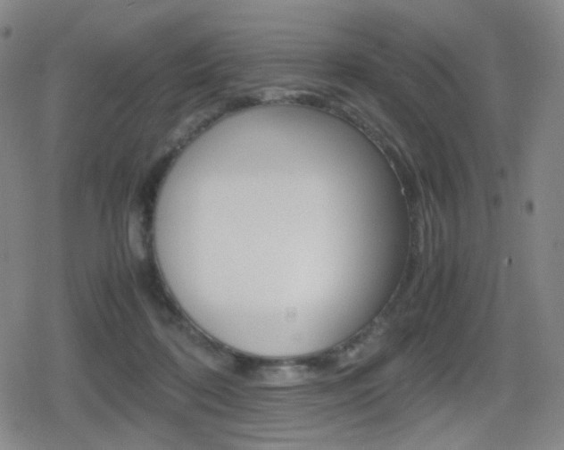 X0000080760316200612150940