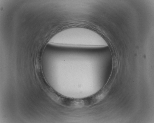 X0000080760317200612150940