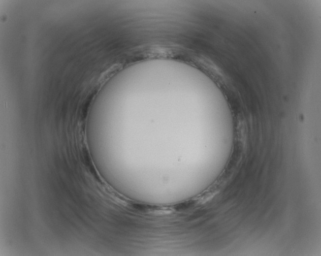 X0000080760318200612150940
