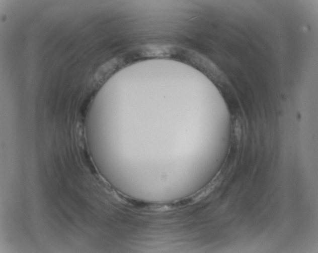 X0000080760322200612150940
