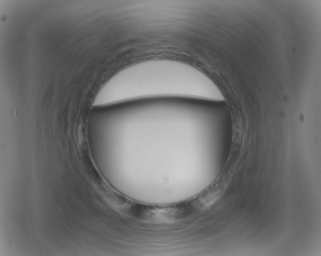 X0000080760323200612150940