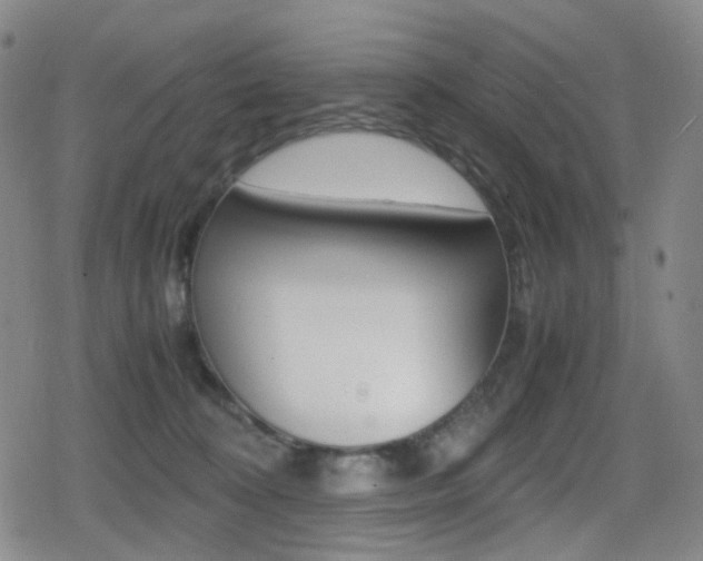 X0000080760324200612150940