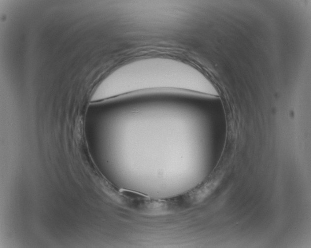 X0000080760325200612150940