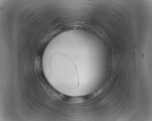 X0000080760328200612150940