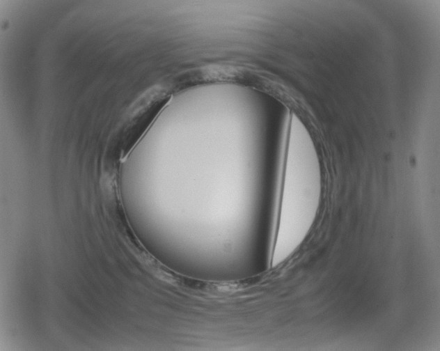 X0000080760329200612150940