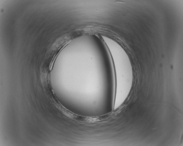 X0000080760333200612150940