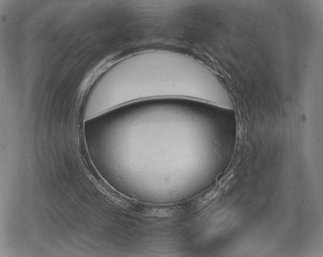X0000080760341200612150939