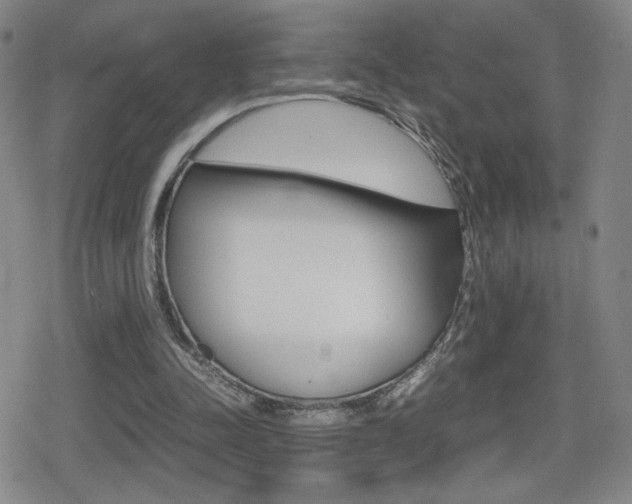 X0000080760342200612150939