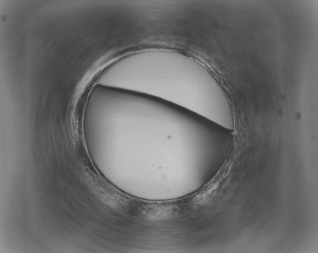 X0000080760343200612150939