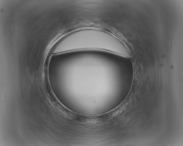 X0000080760344200612150939