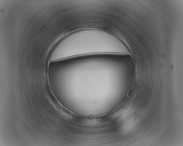 X0000080760349200612150939