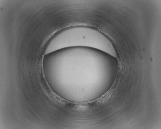 X0000080760352200612150939