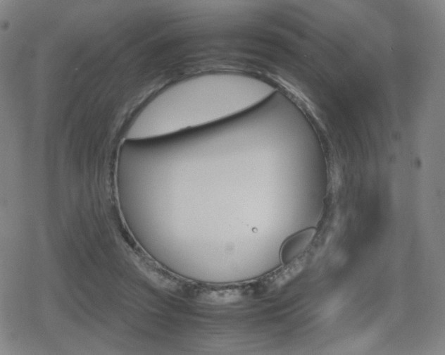 X0000080760353200612150939