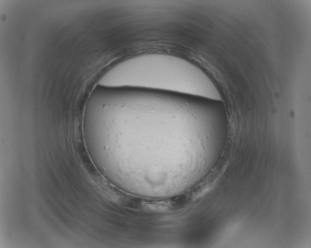 X0000080760359200612150940
