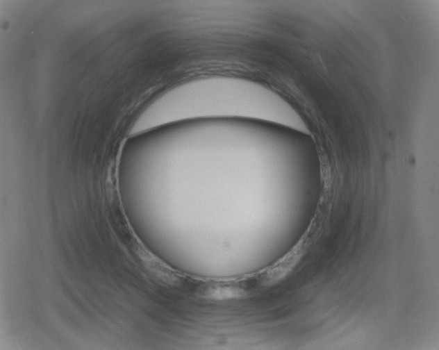 X0000080760360200612150940