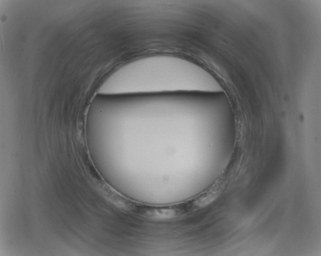 X0000080760361200612150940