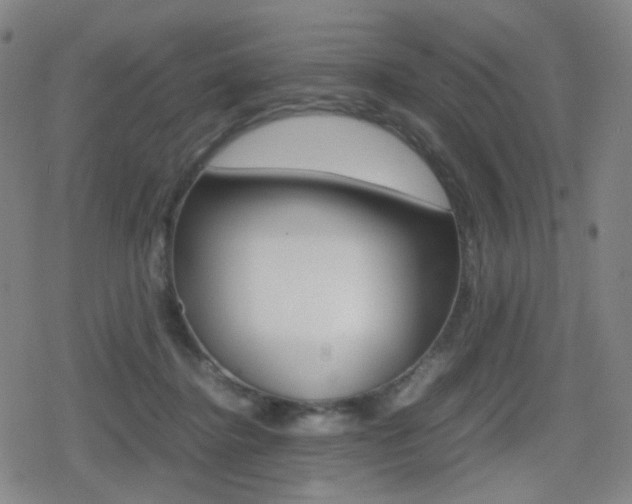 X0000080760364200612150940