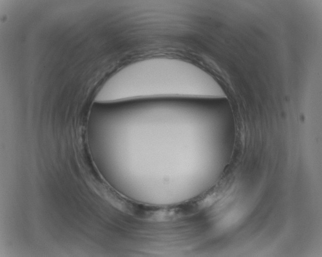 X0000080760366200612150940
