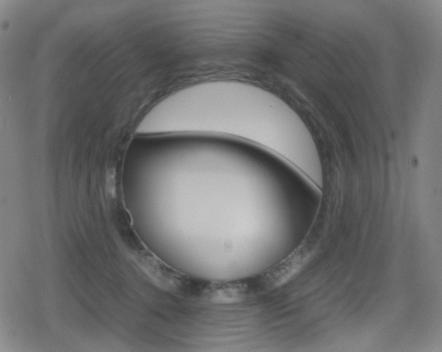 X0000080760368200612150940