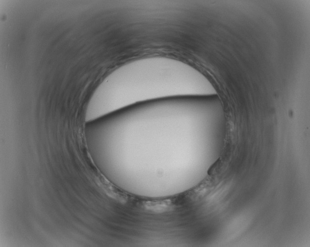 X0000080760373200612150940