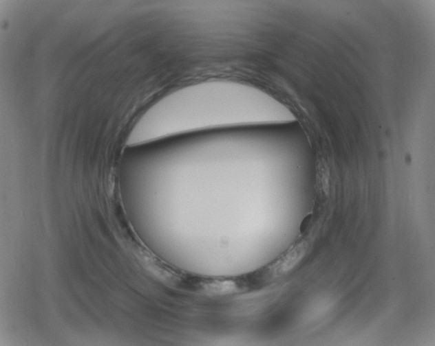 X0000080760374200612150940