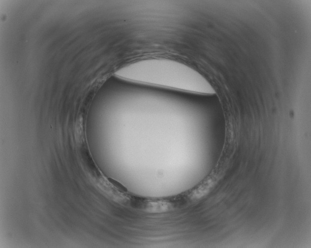 X0000080760376200612150940