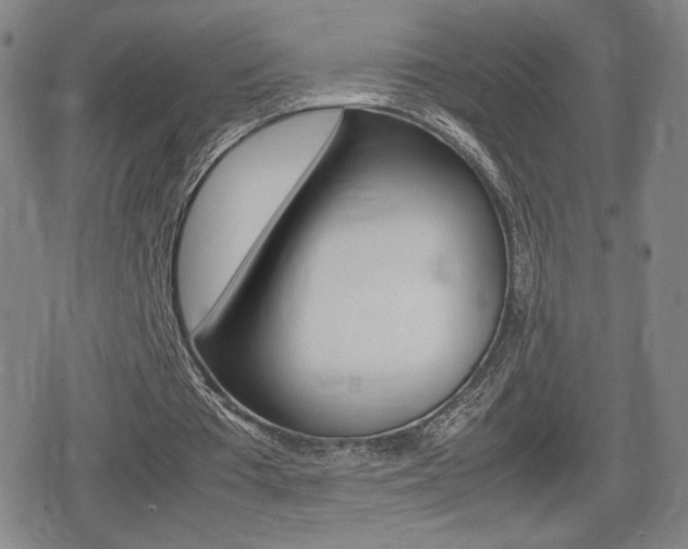 X0000080760385200612150939