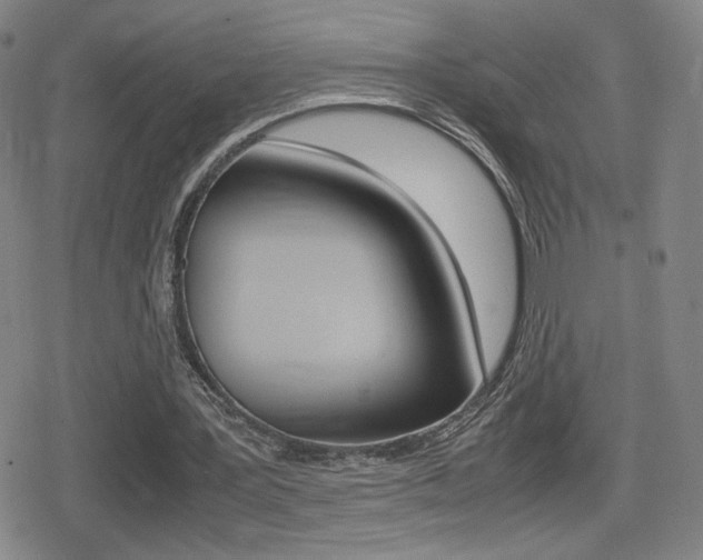 X0000080760387200612150939