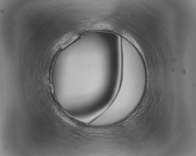 X0000080760389200612150939