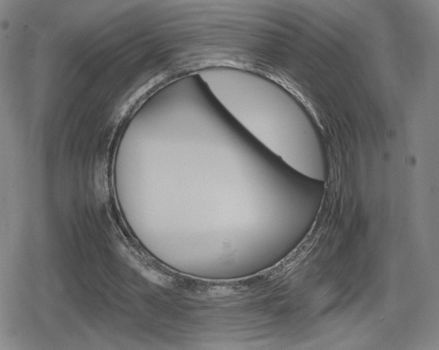 X0000080760390200612150939