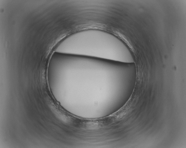 X0000080760394200612150939