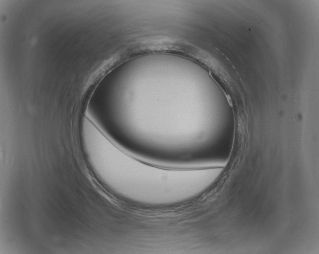 X0000080760397200612150939