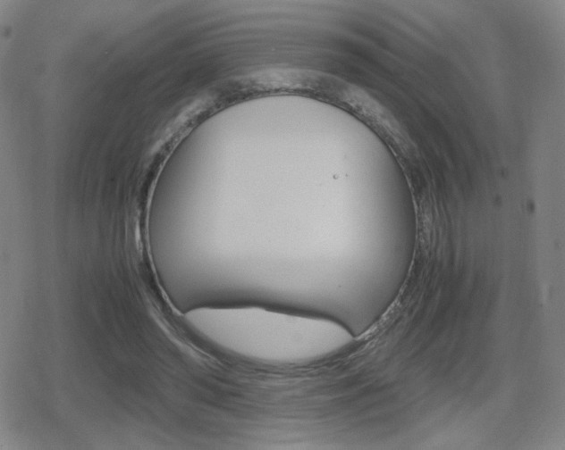 X0000080760398200612150939