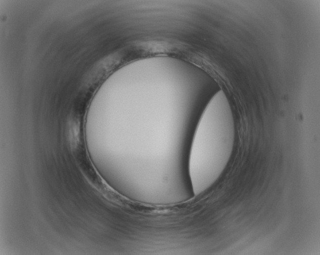 X0000080760406200612150939