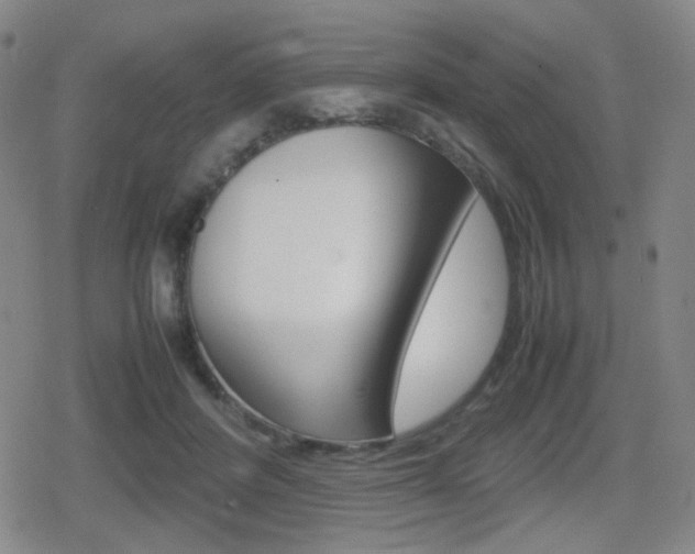 X0000080760408200612150939