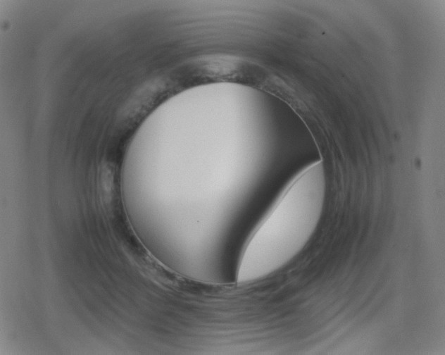 X0000080760412200612150939