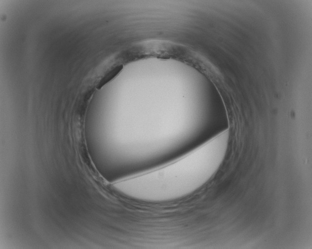 X0000080760413200612150939